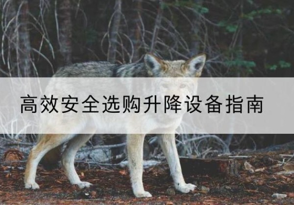 长泰升降货梯厂家推荐-*安全选购升降设备指南