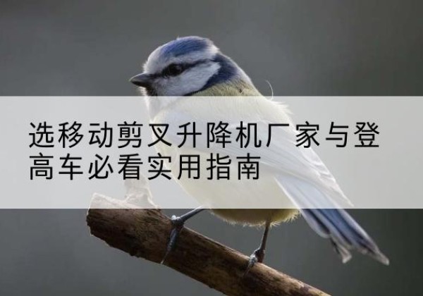 长泰电动升降机厂家-选移动剪叉升降机厂家与登高车必看实用指南